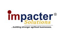Impacter Solutions Logo